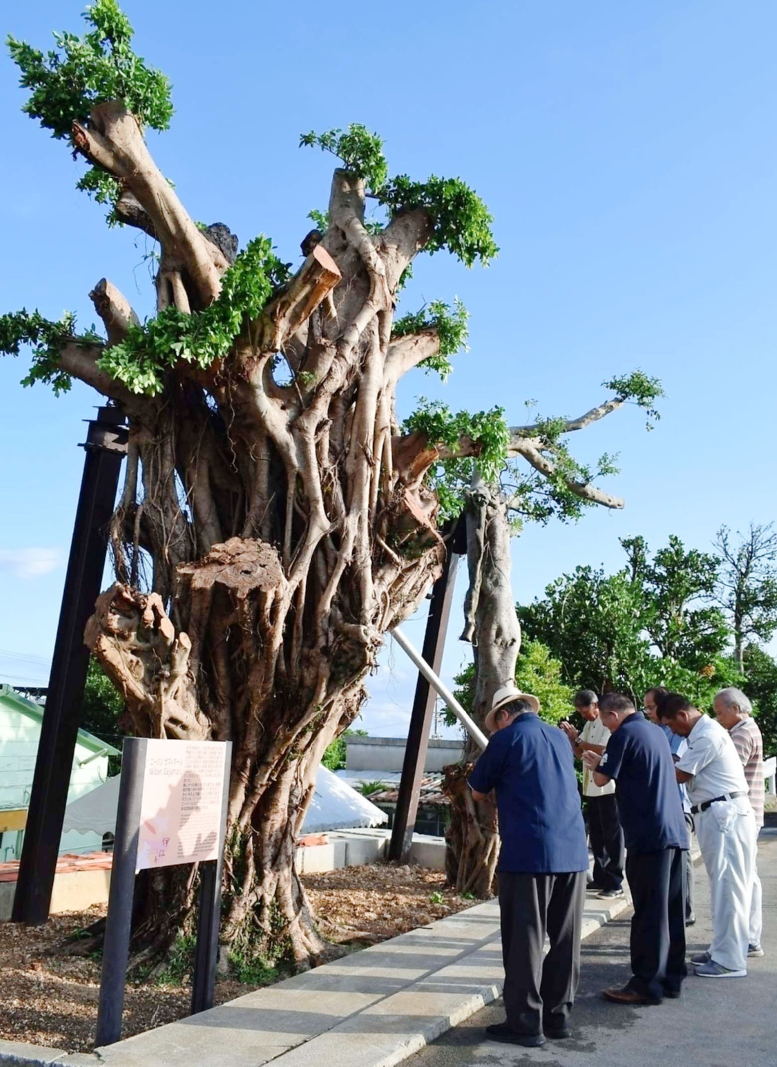 樹の上の二人-超美品⭐︎グッチ シマトートバッグ