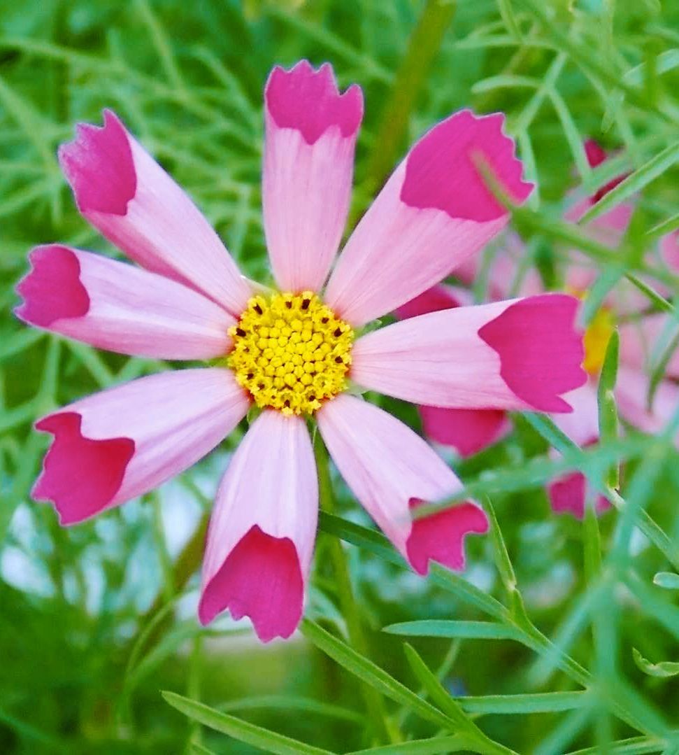 65bb853fa53aef73a8000002.jpg