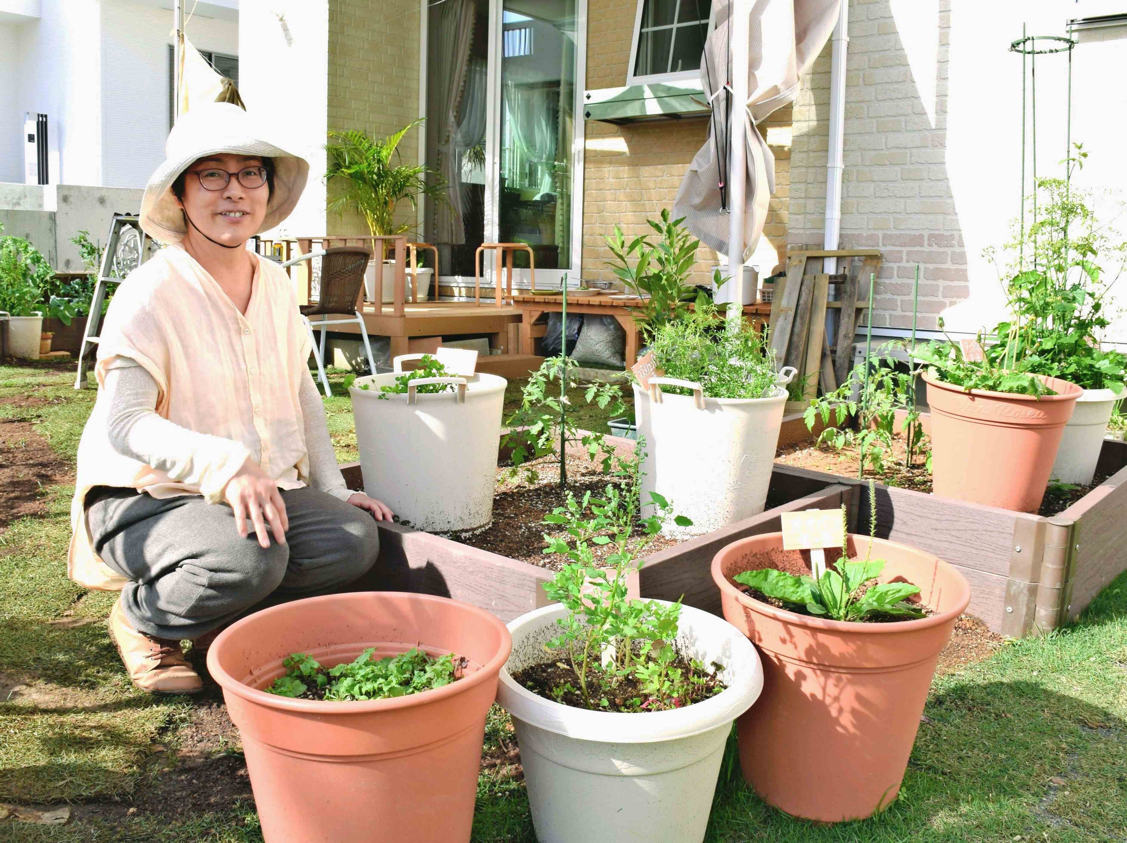 沖縄の薬草百科 おきなわの薬草百科 やさしい煎じ方と飲み方 沖縄の