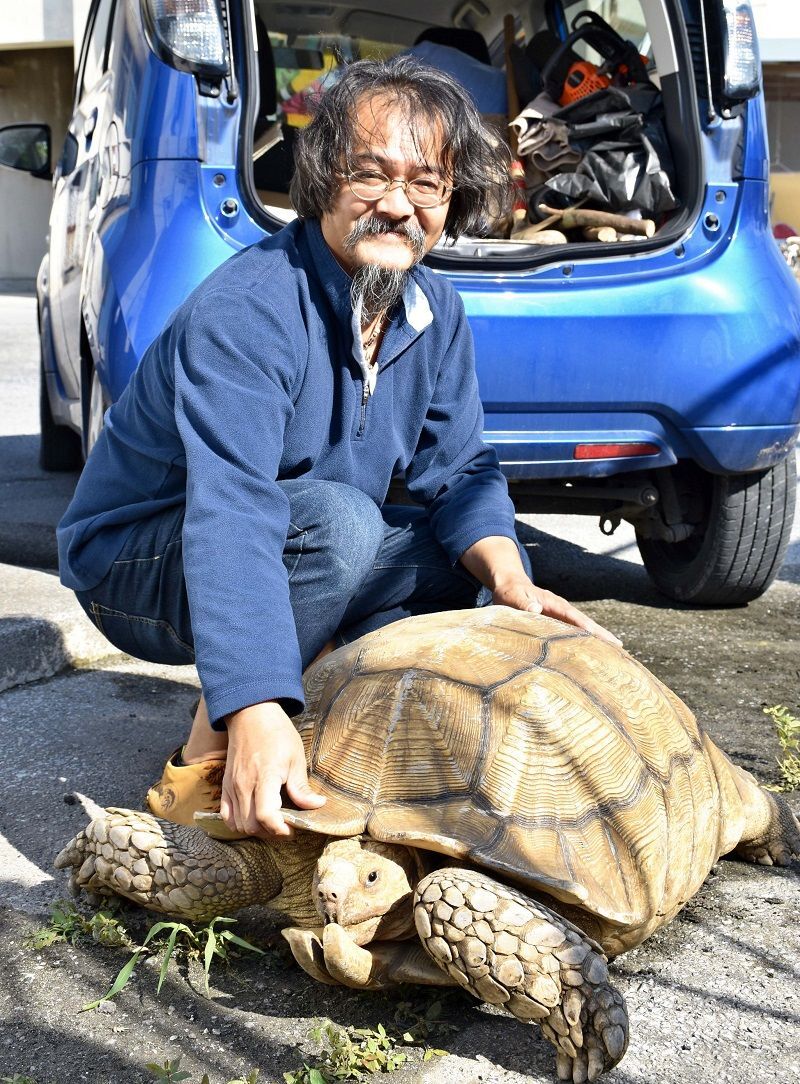 カメ吉 カメ吉 kamekichi (@kame_kiti_) • Instagram photos and videos